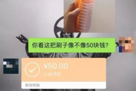 汤旺河为什么选择专业追讨公司来处理您的债务纠纷？